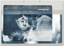 Röntgensammelhülle für DIN-A4-Karteikarte 1007024210 Röntgensammelhülle für DIN-A4-Karteikarte 1007024210