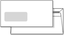 Briefumschlag DIN lang mit Fenster (unbedruckt) 1007024613 Briefumschlag DIN lang mit Fenster (unbedruckt) 1007024613