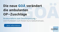 csm blogbild spitta goa final.jpg c24e9701c4a3218528be4566f860c6dd a80586a94e