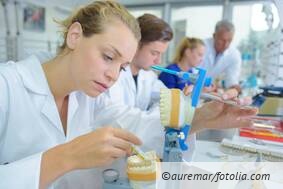 Unterschiede und Gemeinsamkeiten der Einzelstumpfmodelle nach BEL II, beb 97 und BEB Zahntechnik®