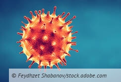 csm Modul Corona ZA AdobeStock Feydzhet Shabanov Kopie.jpeg 8551fe74a5e692521f2338da51652f19 4ab062c0d6