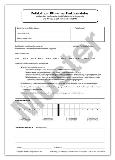 Beiblatt zum Klinischen Funktionsstatus (DIN A4) 1007024833