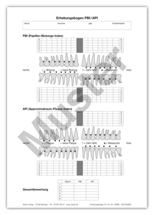 Erhebungsbogen PBI / API 1007024834
