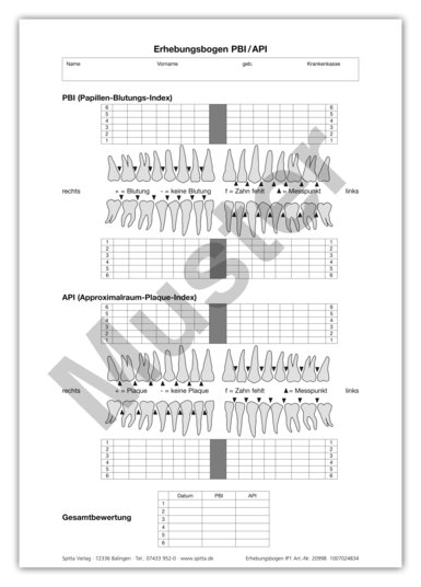 Erhebungsbogen PBI / API 1007024834