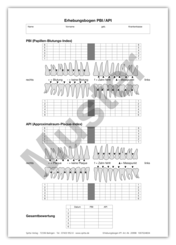 Erhebungsbogen PBI / API 1007024834