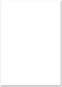 Briefpapier 80g / qm (DIN A4) 1007024602