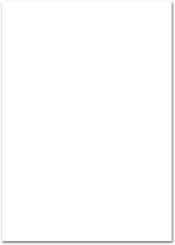 Briefpapier 80g / qm (DIN A4) 1007024602